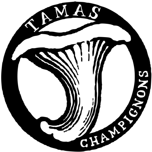 tamas champignons logo