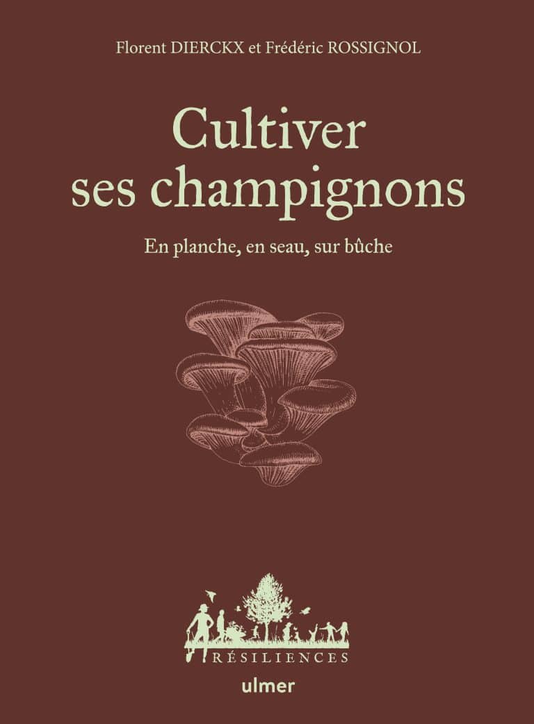 cultiver ses champignons résiliences ulmer