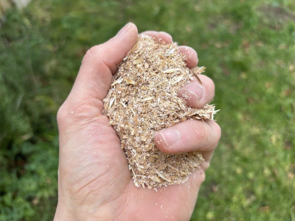 son de blé