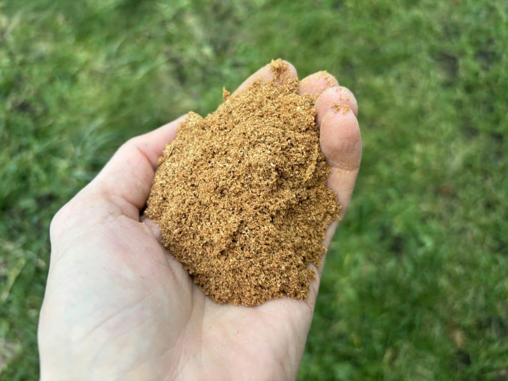 sciure de bois fine