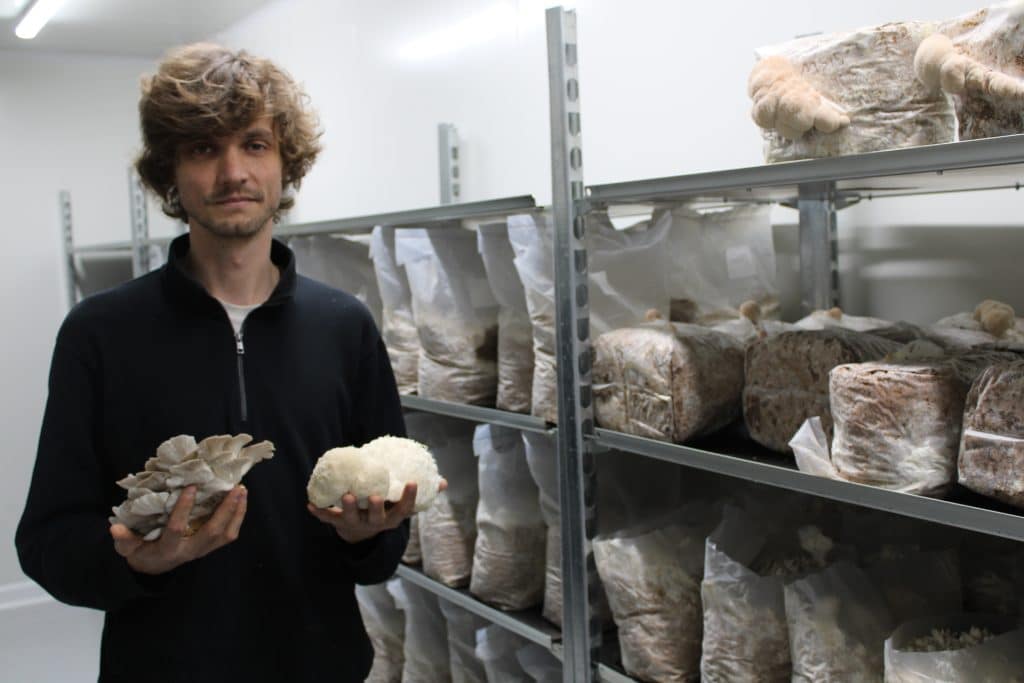 visite de la champignonnière et atelier