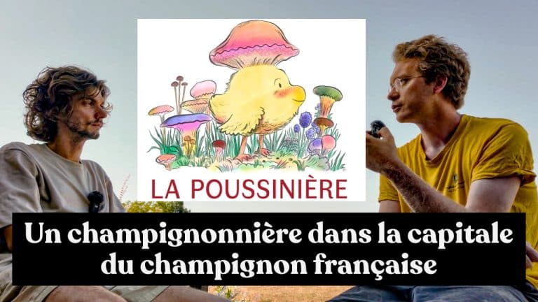 champignonnière cave troglodyte