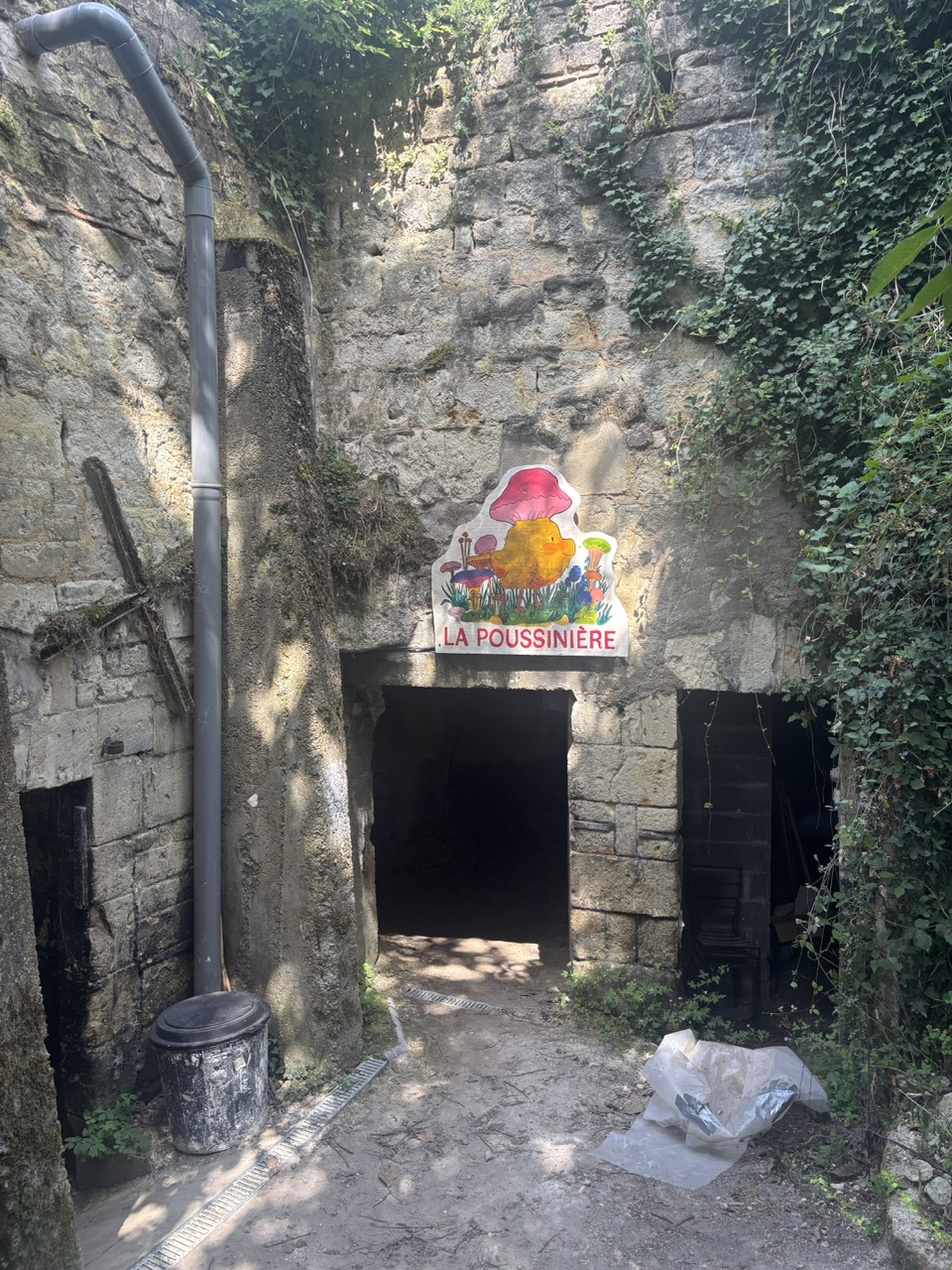 cultiver des champignons dans une cave troglodyte à Saumur